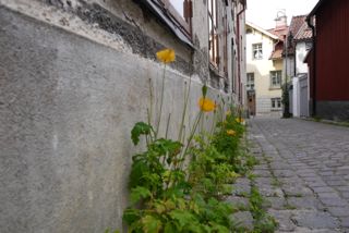 Visby, Sweden